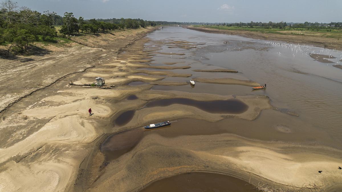 La Amazon A Brasile A Se Seca De Nuevo Y Deja Comunidades Aisladas Y