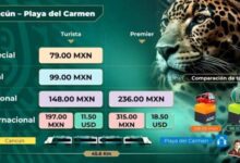 Beneficios para Residentes: Viajes Económicos en el Tren Maya