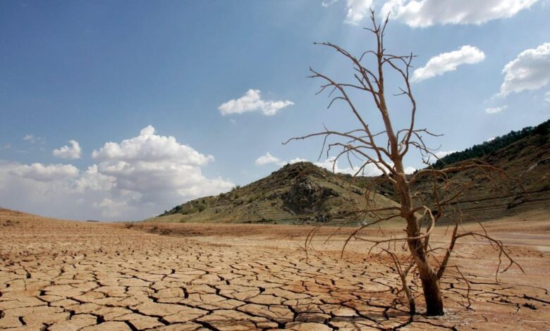 Paraje desértico en la provincia de Valencia por la sequía.