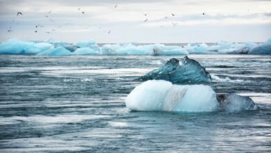 La NASA alerta por crecimiento en nivel del mar, pero ¿por qué está pasando?