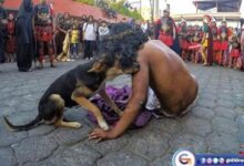 Perro consuela a actor que interpreta a Jesús durante Viacrucis