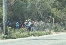 Persiste retorno de intrusos a terrenos cercanos a Las Torres: incendian bosque y usan maquinaria pesada