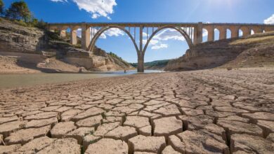 España se queda sin agua: aspecto del embalse de Entrepeñas (Guadalajara), sin agua