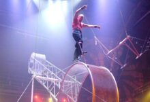 Acróbata de circo cae de "La Rueda de la Muerte" en vivo y desata pánico entre los asistentes