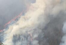 Incendio forestal en Cantabria