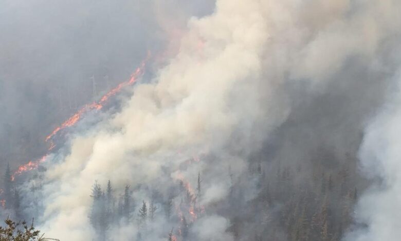 Incendio forestal en Cantabria