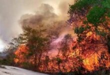 Desamparo de Autoridades Frente a Incendios en Solidaridad