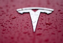 Ganancias de Tesla caen pero sus acciones se disparan por anuncio de nuevos vehículos