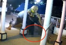 IMÁGENES FUERTES: elefante aplasta a un hombre y lo mata en plena presentación en vivo