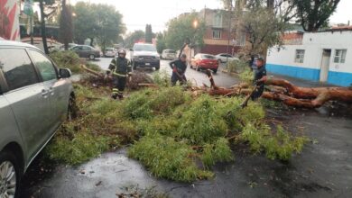 Lluvias provocan encharcamientos, inundaciones y arboles caídos en CDMX: alternativas viales