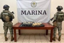 Asegura Marina bulto con droga en Playacar