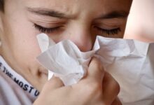 Australia reporta primer contagio de gripe aviar en humanos; el paciente es un niño