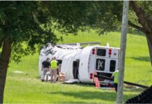 Conductor que chocó contra camión donde murieron 8 mexicanos, confesó haber consumido medicamentos y marihuana