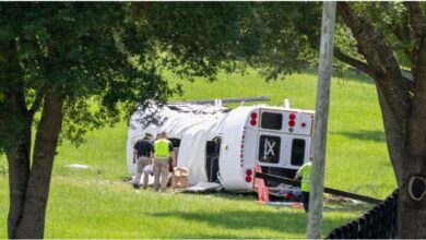 Conductor que chocó contra camión donde murieron 8 mexicanos, confesó haber consumido medicamentos y marihuana