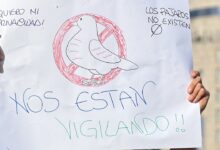 La irreal manifestación contra los pájaros que no existen en España