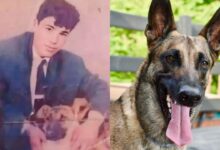 Perrito del joven que fue secuestrado por su vecino a los 17 años lo olfateó, pero lo envenenaron