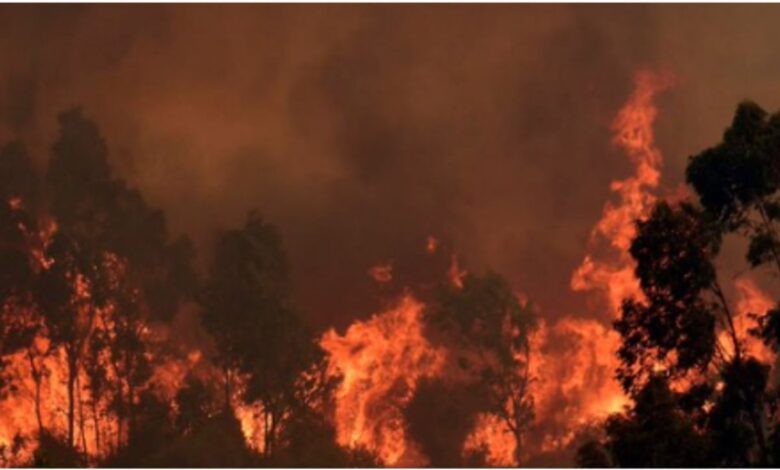 Un bombero, detenido por provocar el fuerte incendio que dejó 137 muertos en Valparaiso