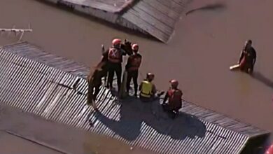 VIDEO: caballo atrapado en techo de una casa inundada es rescatado, pasó un día varado