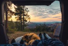 Colchones hinchables para dormir como en casa cuando estamos de camping o tienes invitados