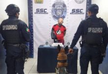 Arrestan a Individuo con Drogas en Playa del Carmen