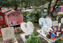 España abre primer cementerio público para perros y gatos de compañía