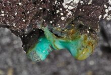 Una formación de estalactitas en una cueva hawaiana, con la presencia de colonias microbianas blancas.