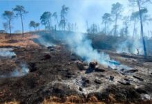 Lluvias Extinguen Incendios Forestales en Solidaridad