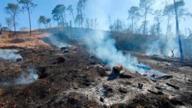 Lluvias Extinguen Incendios Forestales en Solidaridad