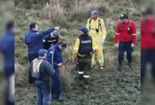 Loan de 5 años fue a buscar naranjas y no regresó: vómito, huellas, un zapato, las únicas pistas