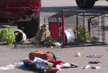 Mientras su mamá guardaba las bolsas del super, niño es asesinado en el estacionamiento