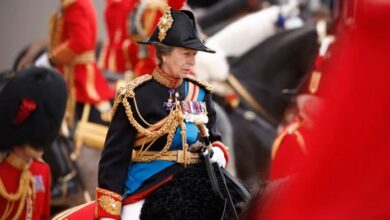 Princesa Ana, hospitalizada tras ser golpeada en la cabeza por un caballo