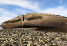 Revelan qué es el enorme “barco” que aterró a los curiosos tras aparecer en una playa