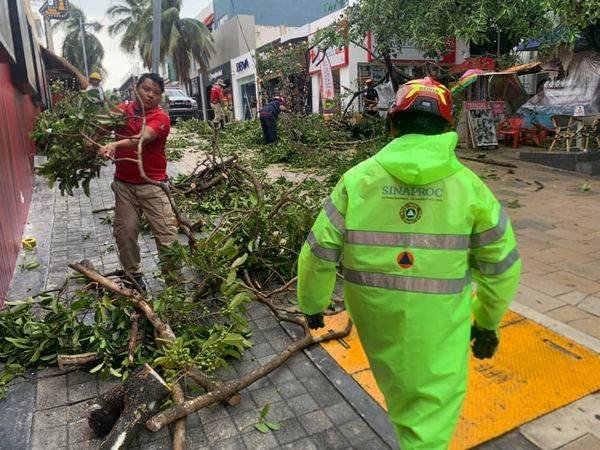 Tormenta tira 45 árboles y 22 postes en Solidaridad