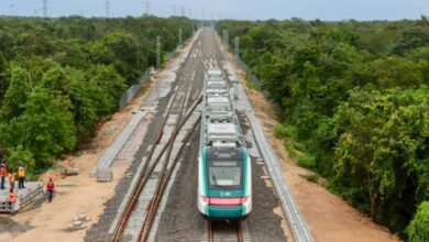 Acusan a Desarrolladora de Cancún por venta fraudulenta de terrenos del Tren Maya