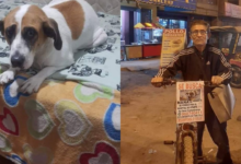 Adulto mayor perdió a su perrita Nana hace un año y la busca todos los días en su bicicleta