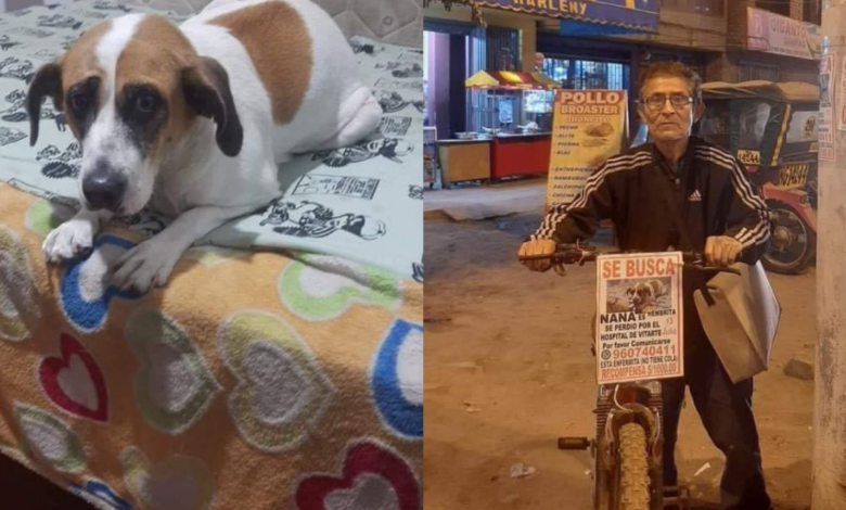 Adulto mayor perdió a su perrita Nana hace un año y la busca todos los días en su bicicleta