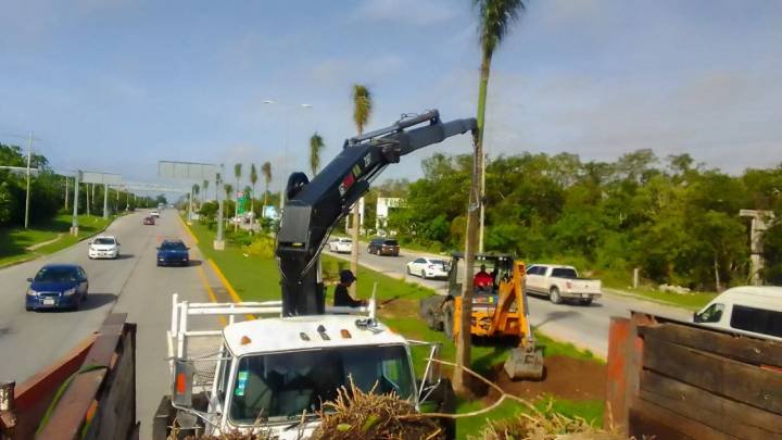 Continúan renovando el camellón de la carretera federal