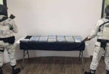 Decomisan 25 Kilos de Droga en Tulum