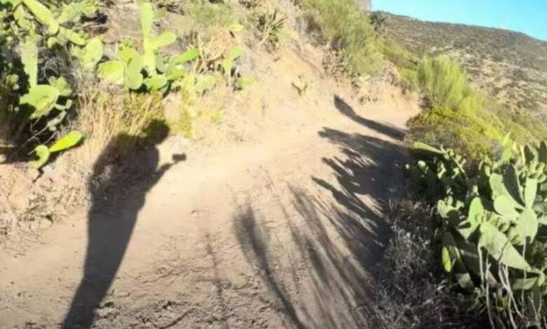 Escuchan escalofriantes ruidos en la búsqueda del joven víctima de un cactus