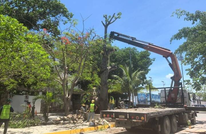 Gobierno y sector privado juntos en beneficio del medio ambiente