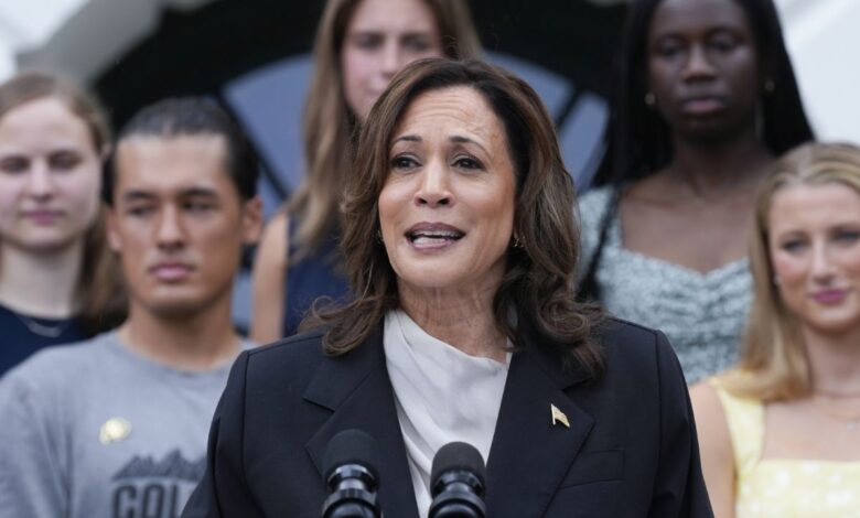 Kamala Harris recauda más de 74 millones de euros para su candidatura en tiempo récord