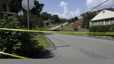 Niña de 12 años mata a su prima de ocho tras discutir por un teléfono celular