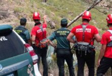 Nueva teoría apunta a hallar algo siniestro en la desaparición del joven víctima de un cactus