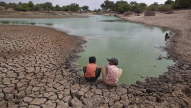 Llevamos doce meses seguidos rebasando los 1,5ºC de calentamiento