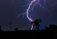 Rayo cae y mata a 3 personas que se refugiaban de la tormenta bajo un árbol