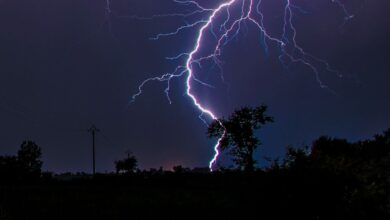 Rayo cae y mata a 3 personas que se refugiaban de la tormenta bajo un árbol