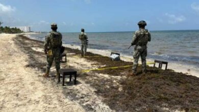 Recalan poco más de 22 kilos de cocaína pura en playas de Cancún