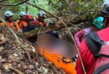 Rescatan a hombre de 48 años que estuvo dos semanas perdido en montaña de Kentucky