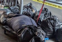 VIDEO captan a sujeto arrastrando y abandonando el cadáver de una joven sobre calles de Manhattan en Nueva York