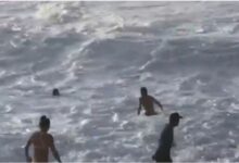 VIDEO: el heroico momento en que un surfista salva a una mujer de ser devorada por el mar de Hawái